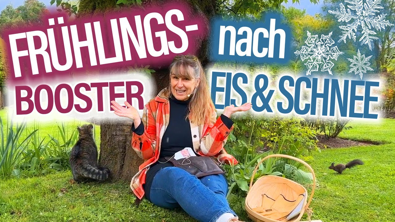 Nach KÄLTE: Frühlings BOOSTER für ROSEN - spritzen, pflegen, düngen, VORBEUGEN +++ MUTTERTAG Special