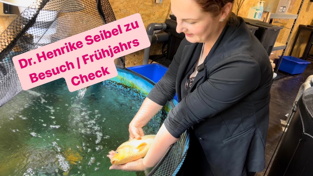 Fr. Dr. med. vet. Henrike Seibel zum Frühjahrs Check. Fragen an Fr. Dr. Seibel gerne per E-Mail!