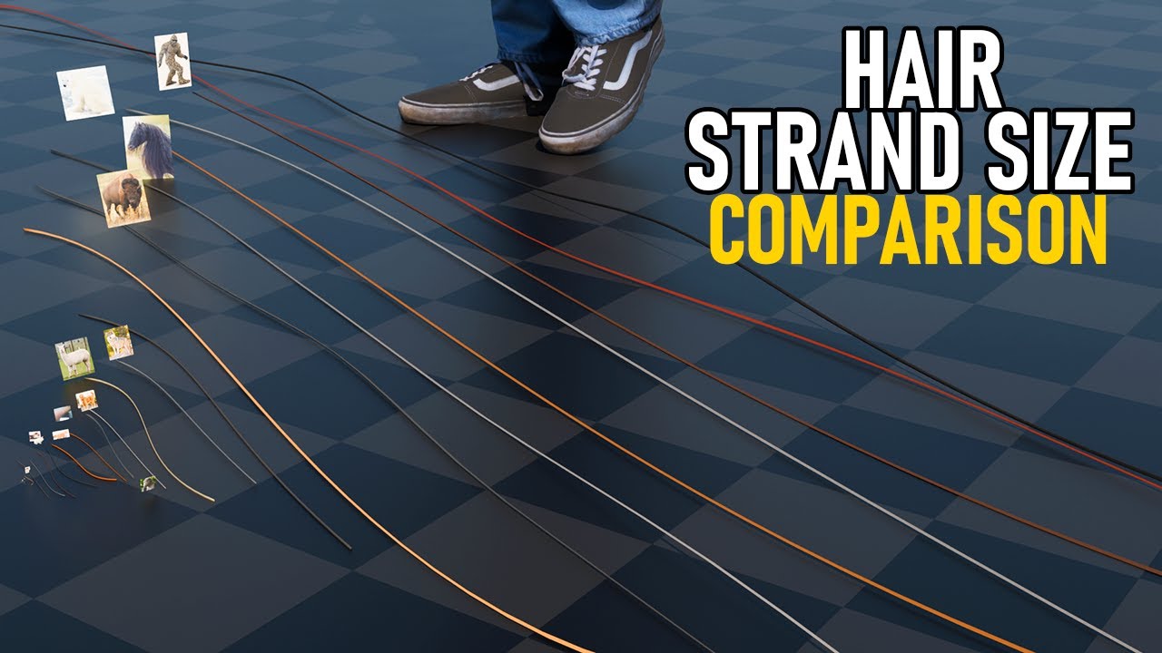 Hair Strand Size Comparison | 2024