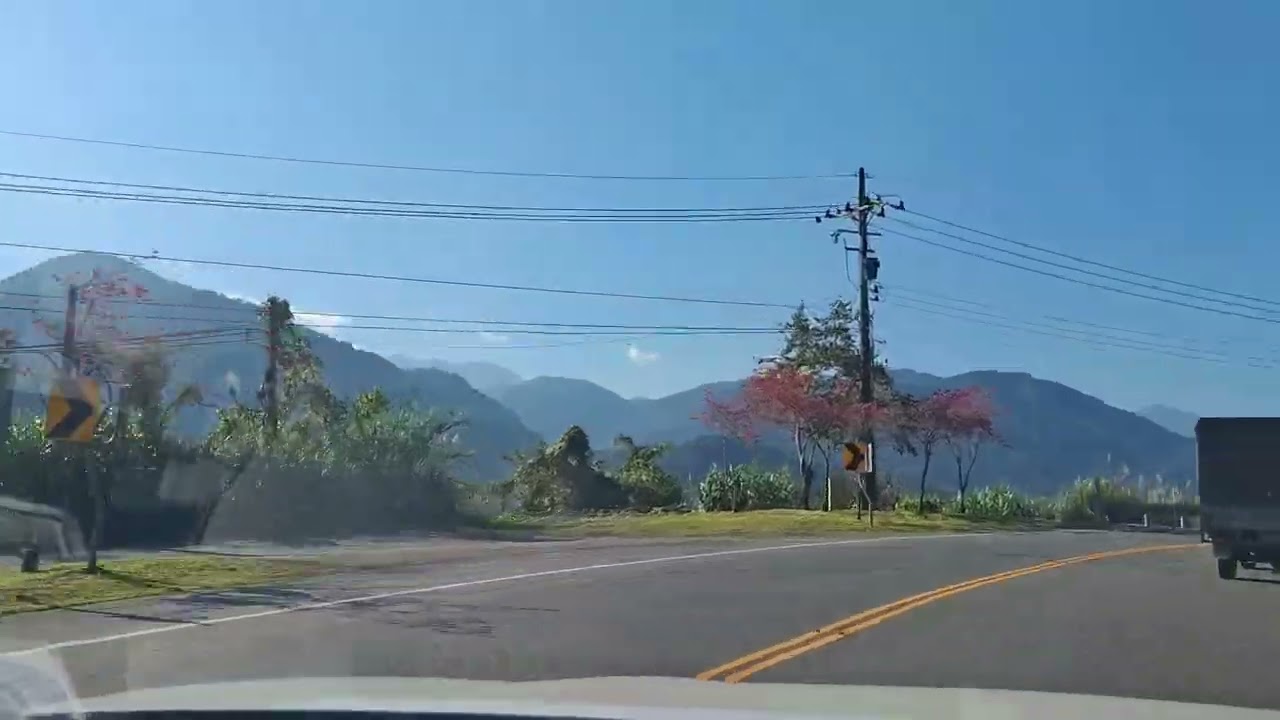 清晨的霧還沒退，山路像一條安靜的呼吸。一朵一朵，從樹梢跌落成粉紅的雨。八重櫻開得急，重瓣裡藏著春天的重量。風一來，整條泰雅路就柔軟起來，交給每一雙抬頭的眼睛。2026-02-15