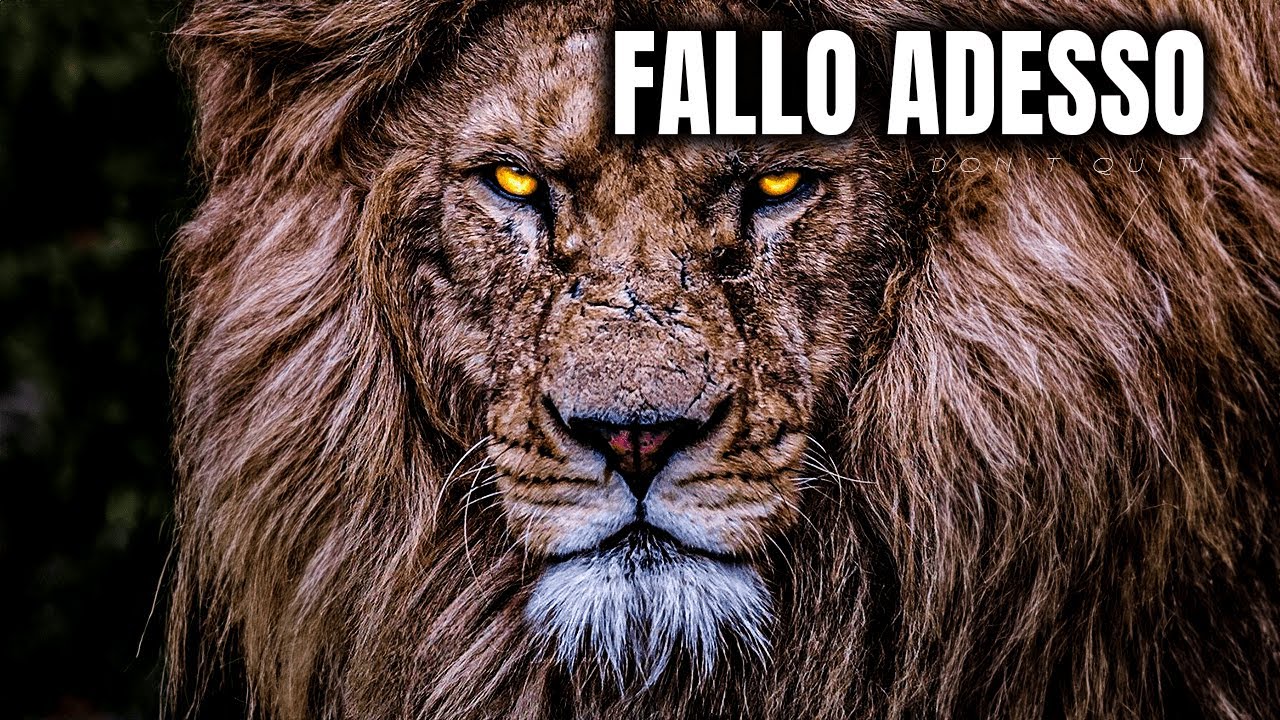 AGISCI Come se il FALLIMENTO fosse IMPOSSIBILE | Video Motivazionale