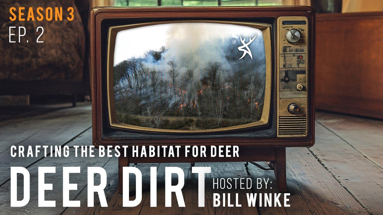 Crafting the Best Habitat for Deer| DEER DIRT with Bill Winke | S3 E2