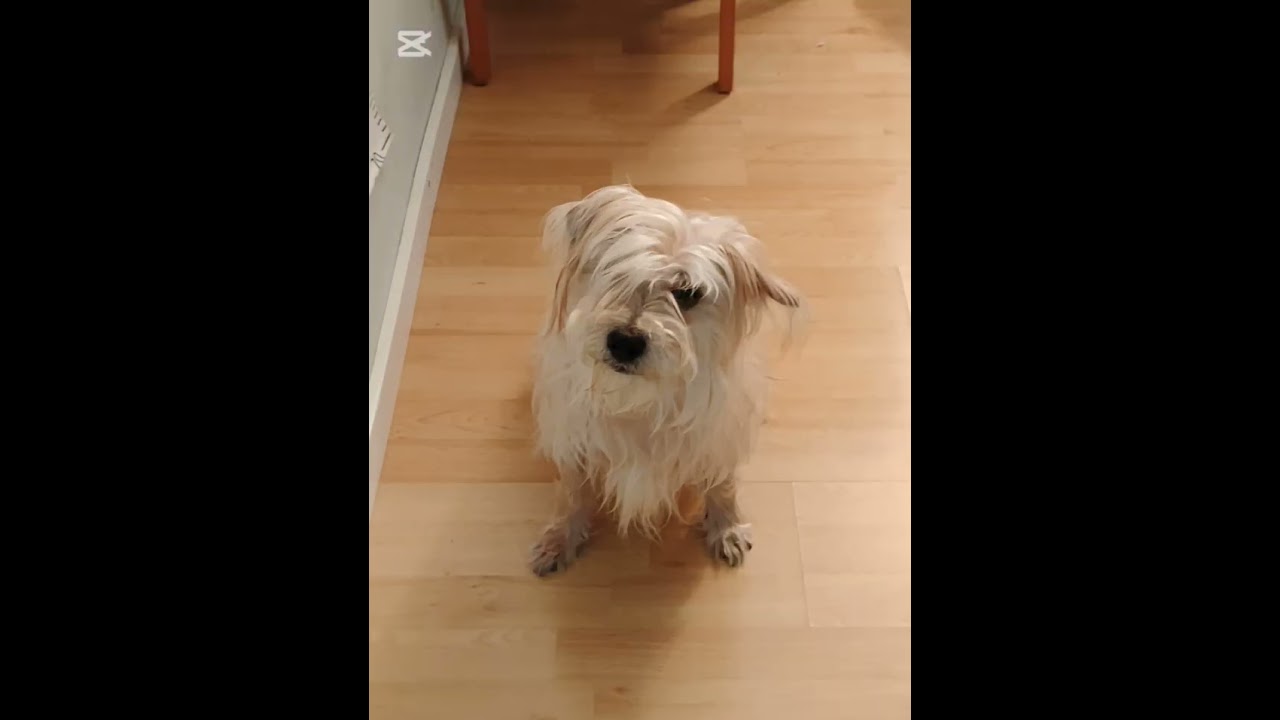 Max♥️❤️‍🩹