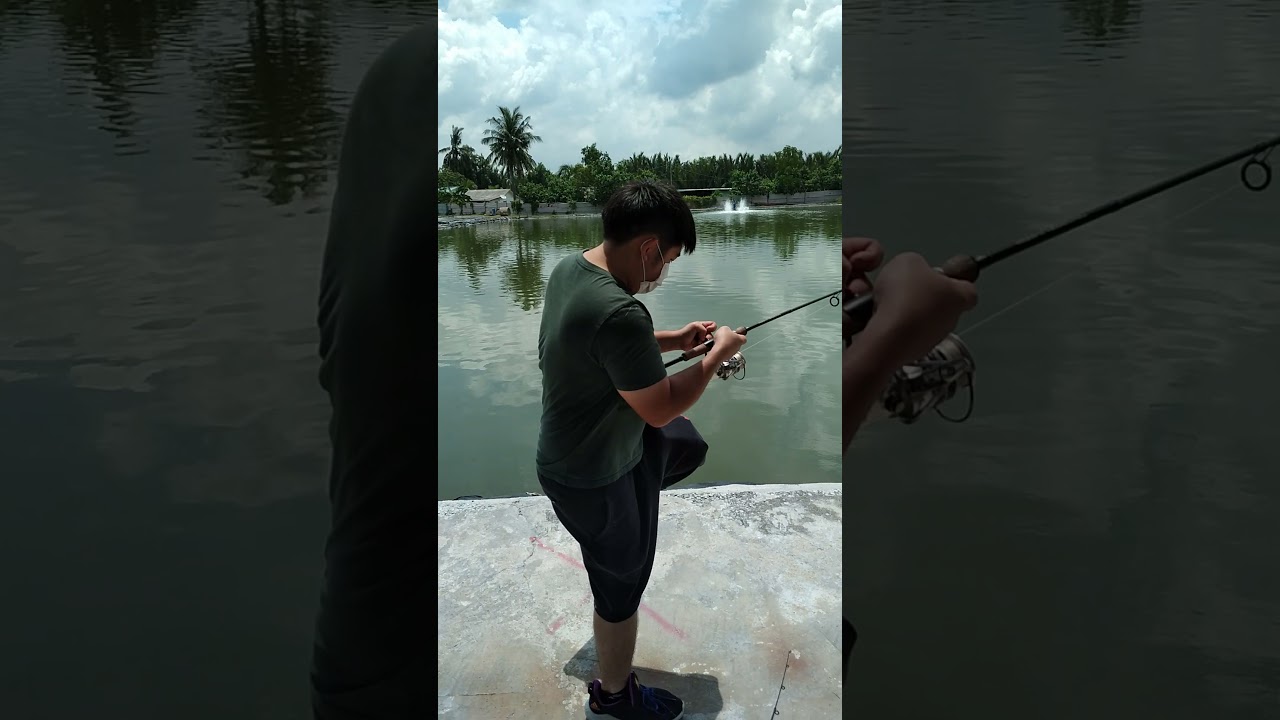90 kg fish...