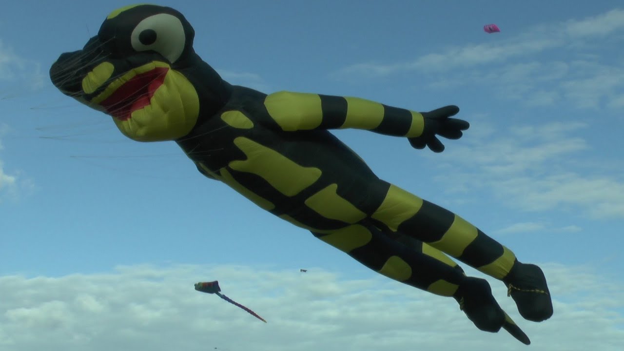 17. DRACHENFEST in MELLE 2025 - LUFTDRACHEN am HIMMEL - KITE IN THE SKY MELLE 2025