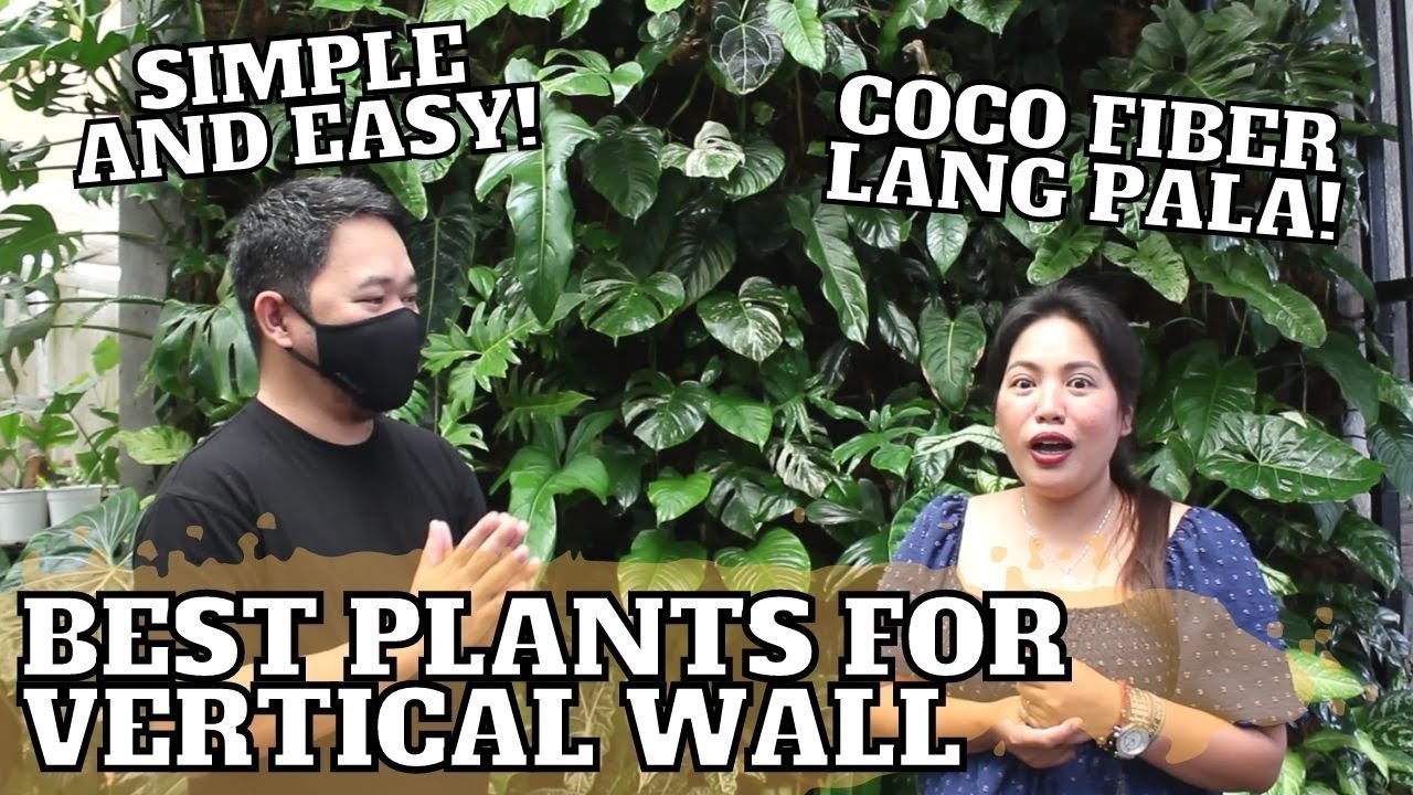 INSTALLING GREEN GARDEN FOR VERTICAL WALL | BEST PLANTS TO USE FOR VERTICAL WALL GARDENS!