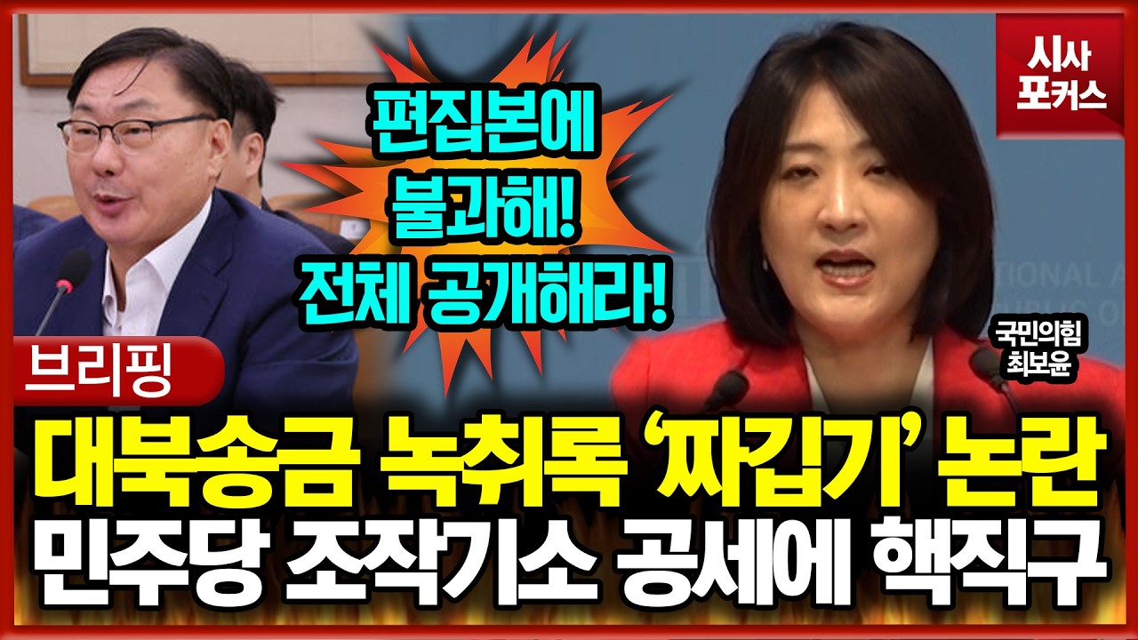 불법 대북송금 녹취록 '짜깁기' 논란... 민주당 조작기소 공세에 핵직구 작렬한 최보윤