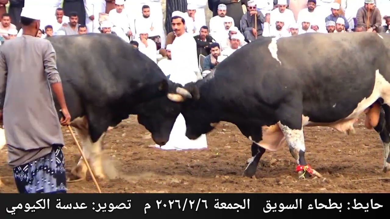 عشقين و فرعون ... حايط بطحاء السويق ١٥