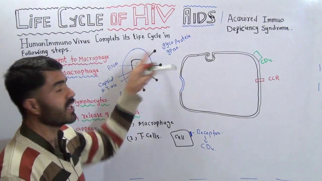 HIV Life cycle Human Immuno deficiency Virus Lec# 9  CH# 5 fully explained in Urdu Hindi by Dr Hadi