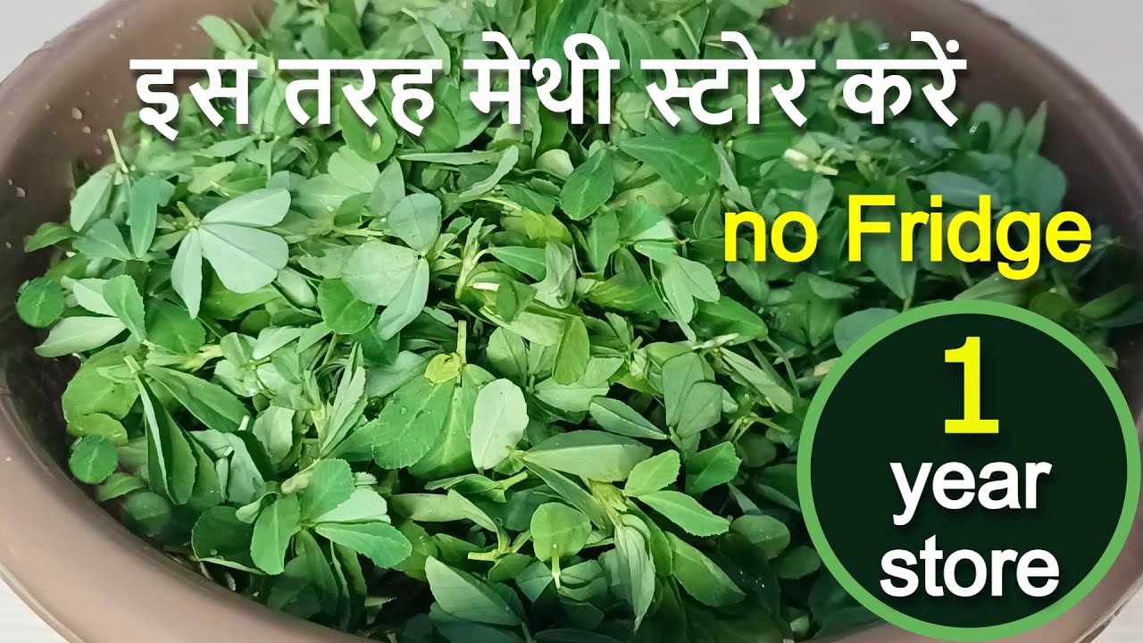 1 साल तक मेथी स्टोर करें बिना फ्रिज | How To Store Methi without Fridge | Kasuri Methi Recipe |