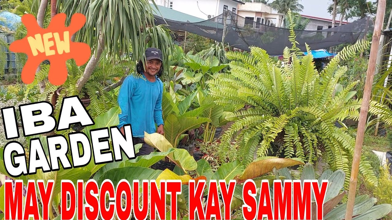 GARDEN TOUR || MAY DISCOUNT SABI NI SAMMY IBA GARDEN  #plants #garden #silangcavite #vlog #everyone