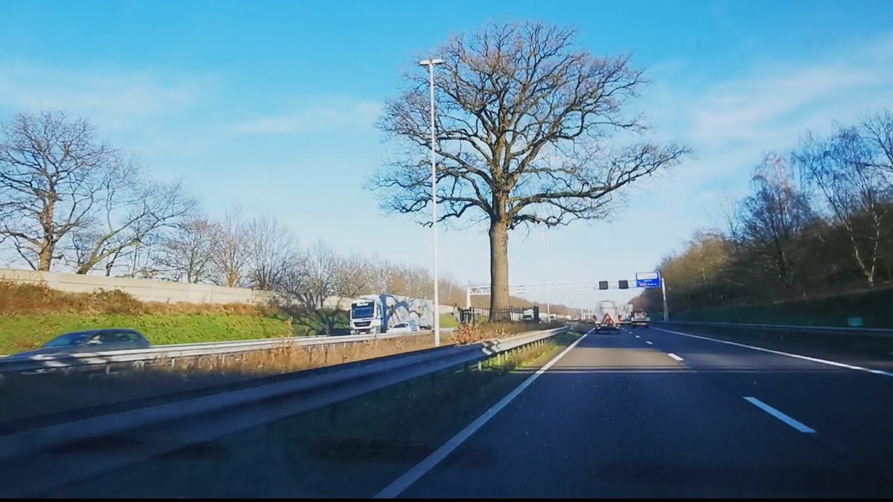 LATEN STAAN WAS OOIT DE VOORWAARDE: DE ANNEVILLE-EIK OP DE A58