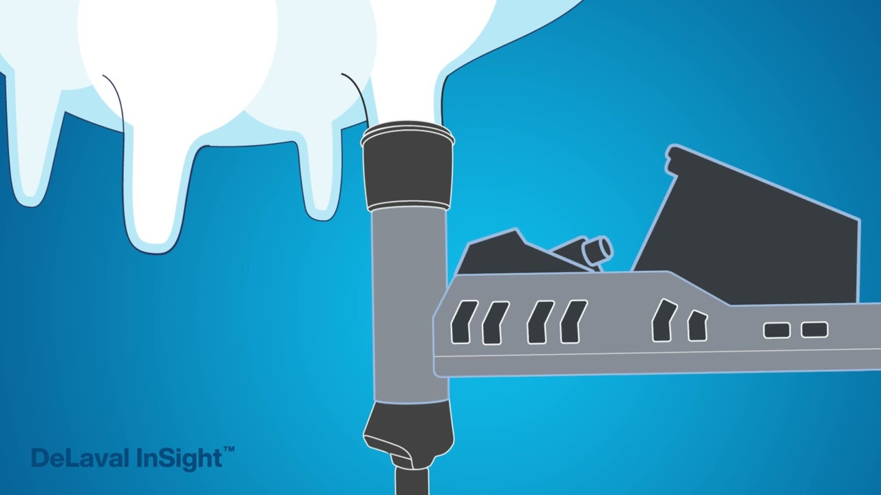 VMS 2025: Flow Responsive Milking