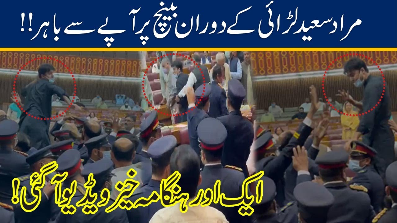 Another Fight Video Of Murad Saeed In National Assembly Leaked Out