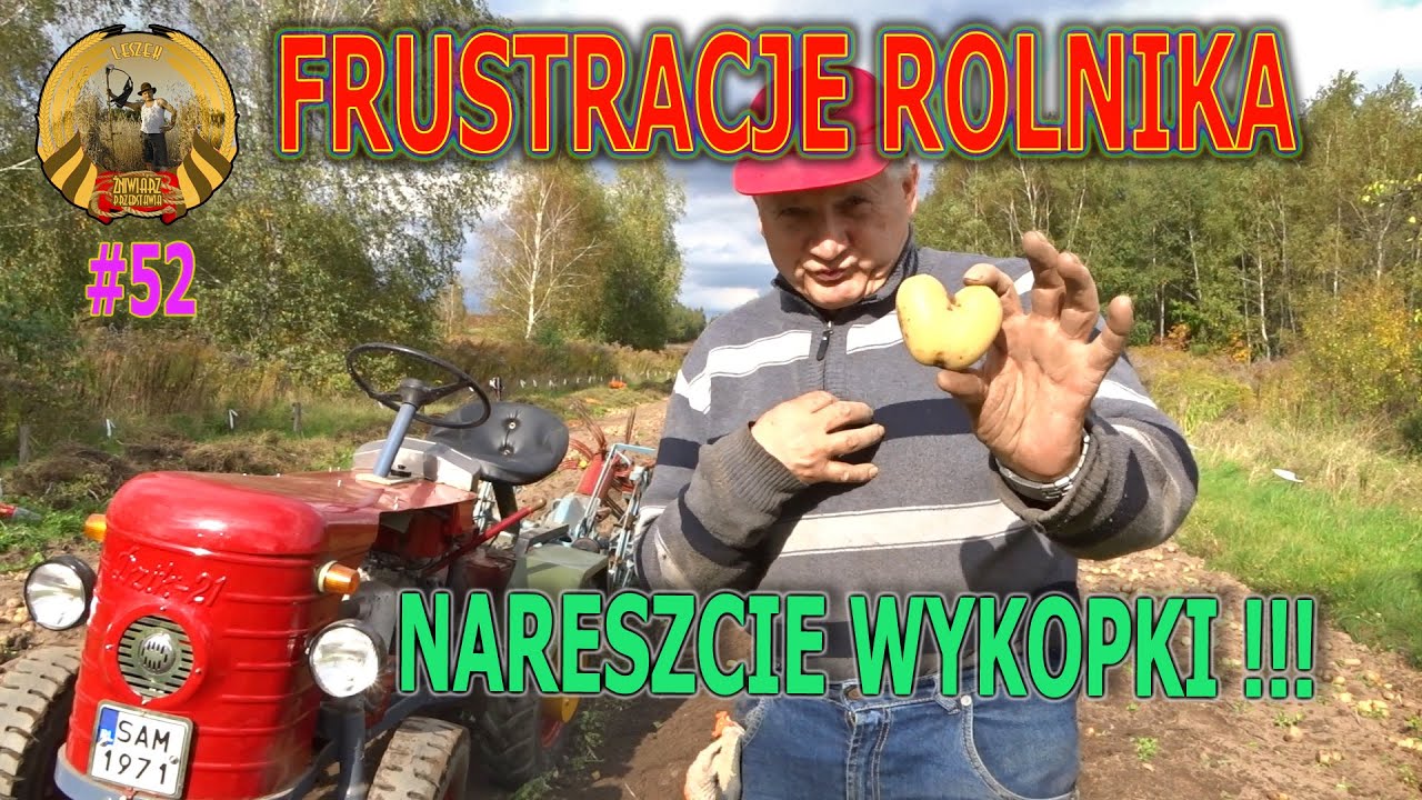 FRUSTRACJE ROLNIKA, czyli nareszcie WYKOPKI 2022 !!!
