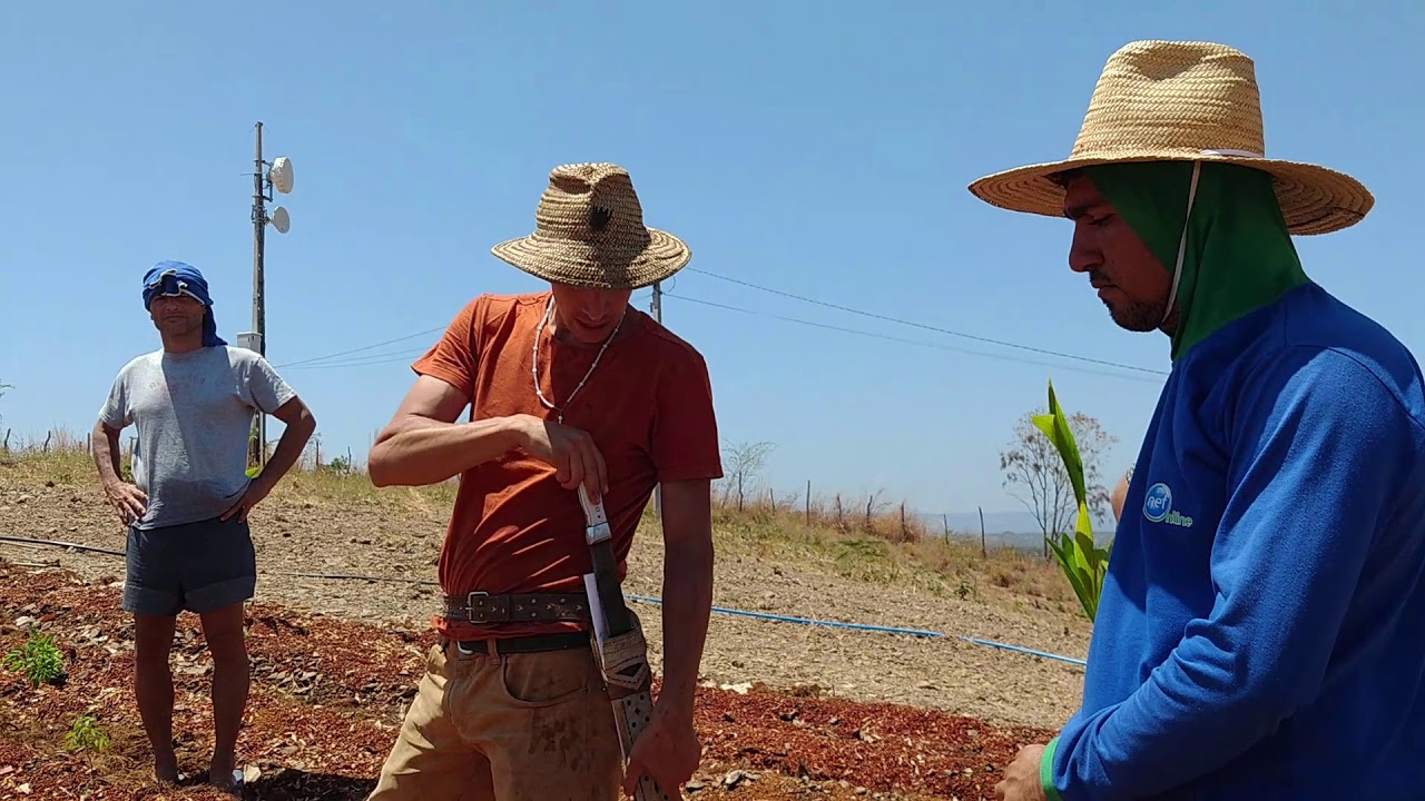 AGROFLORESTA SITIO MOLEQUE: QUANDO AS PESSOAS SE ENCONTRAM PARA CONSTRUIR JUNTAS