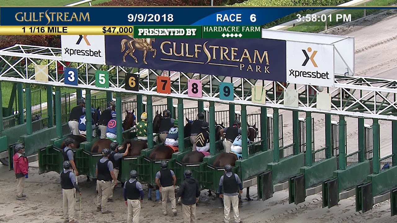 Gulfstream Park Replay Show | September 9, 2018