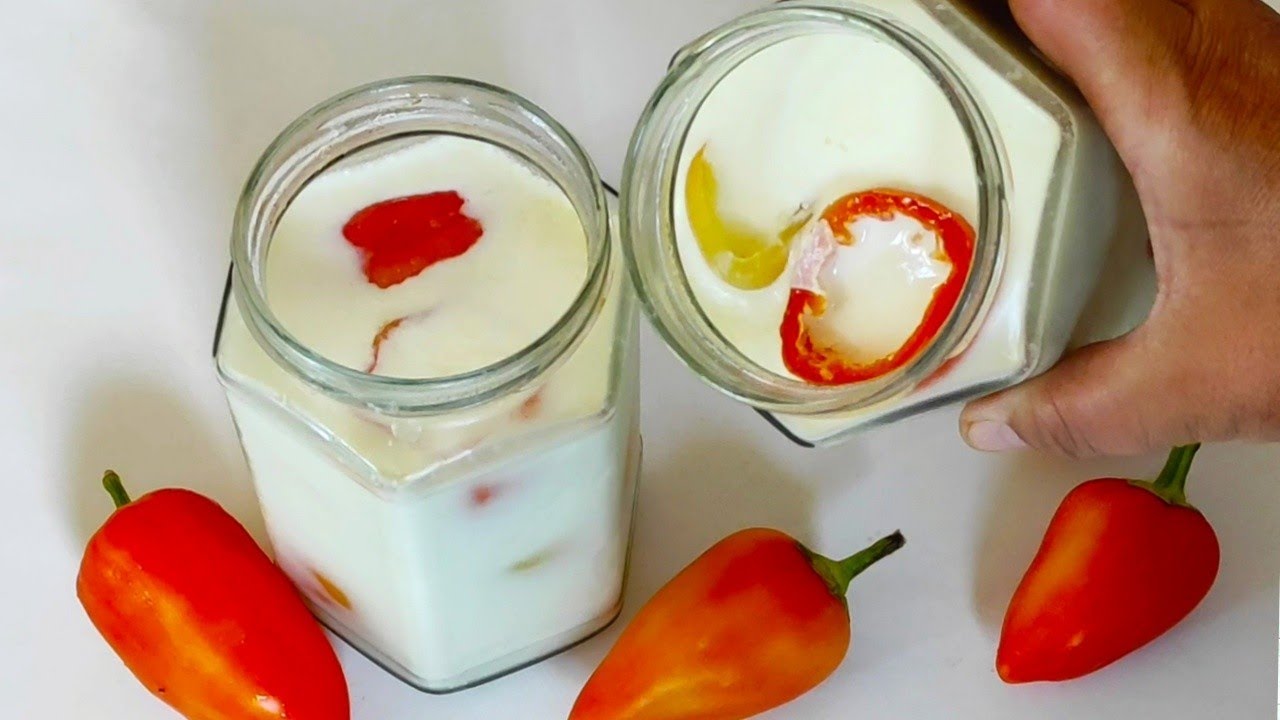 Paprika u kiselom mlijeku, priprema se za nekoliko minuta ... NOVO! #352