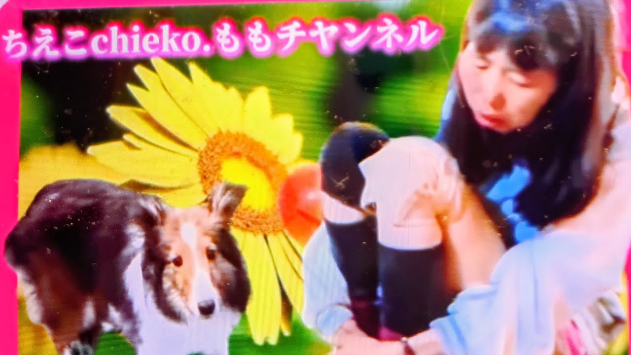 楽しく談段ライブ🥰初見さんも大歓迎🥰