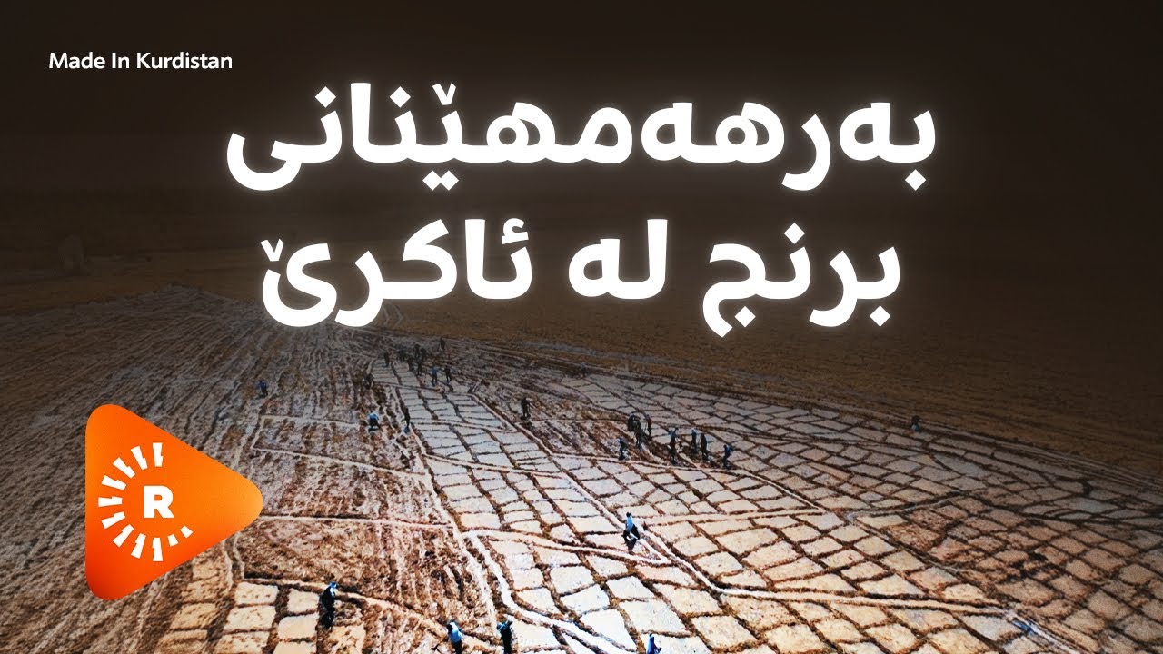 Made In Kurdistan-مەید ئین کوردستان- لێرەوە برنج هەناردەی ئەورووپا دەکرێت