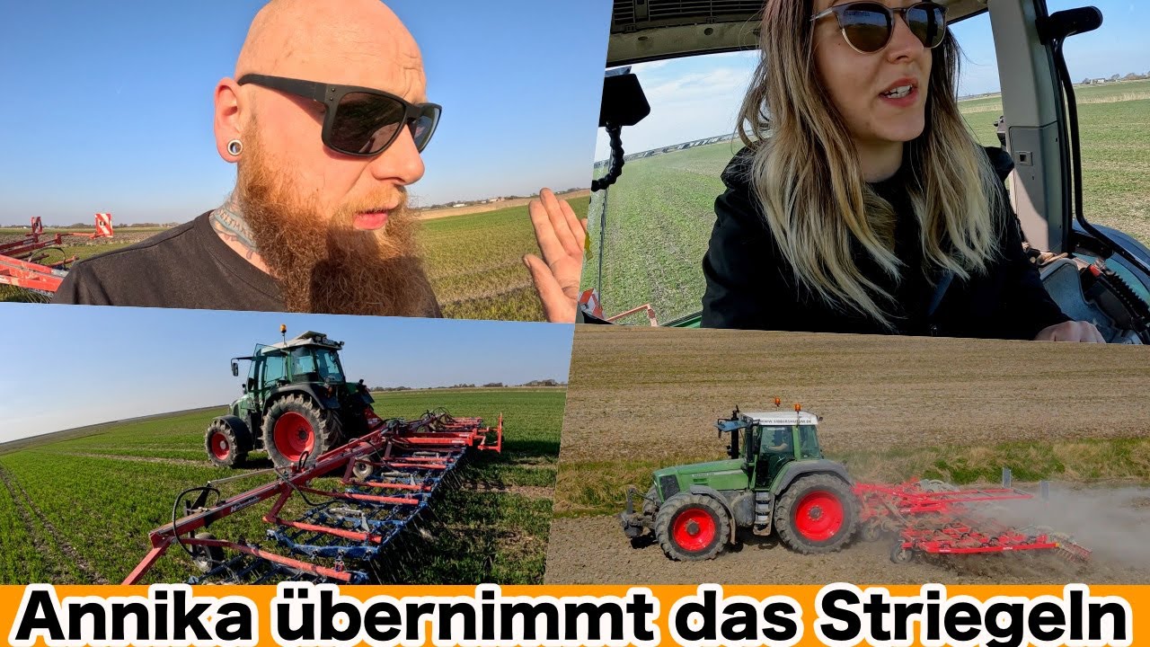 FarmVLOG#784 - Beide Fendt gleichzeitig im Einsatz / Annikas erster Striegel Einsatz
