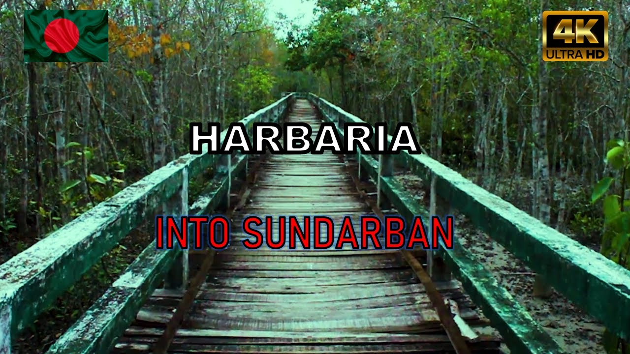 INTO SUNDARBAN | EPISODE 2 | HARBARIA 4K