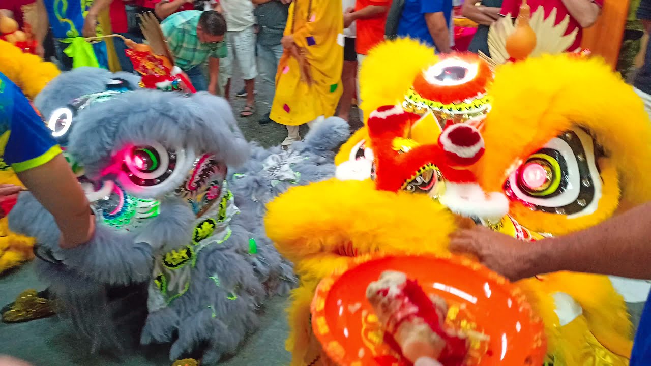 Hu Yin Dian 湖隐殿 - Hua ti 4 lions eye dotting 2022