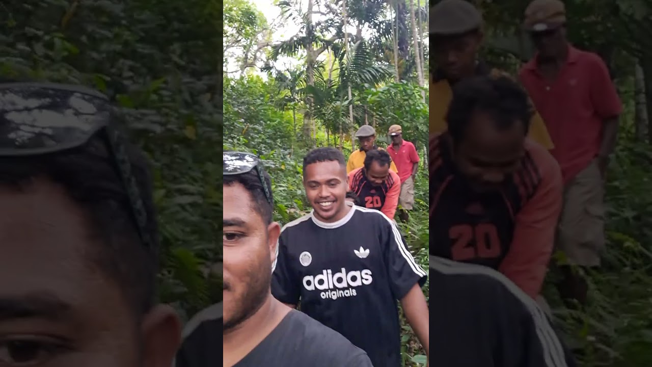 Knua Loime Colibay, halo los moras iha knua Aele