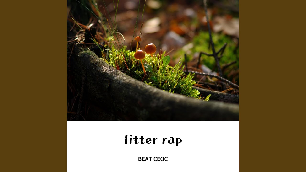 congressperson purpose