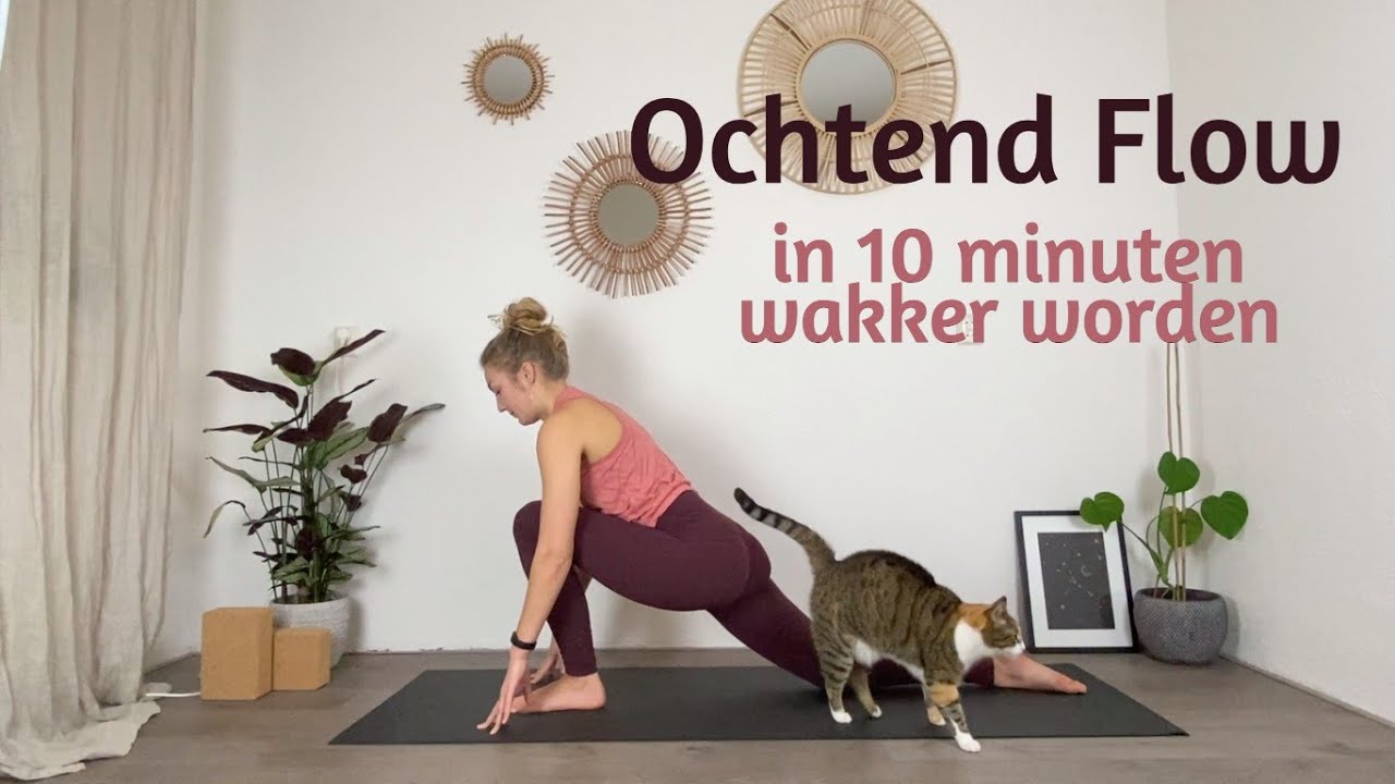 OCHTEND YOGA | in 10 minuten wakker worden | Morning Flow