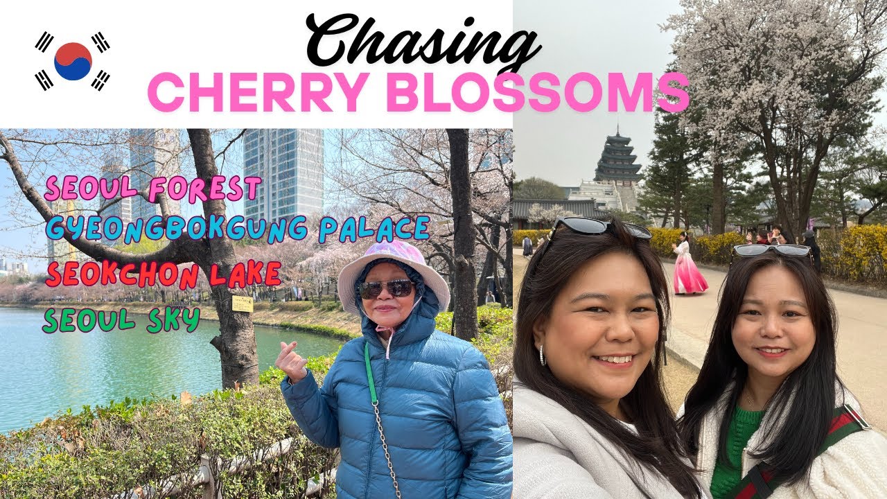 Korea Vlog Spring 2025: Cherry Blossoms| Seoul Forest| Gyeongbokgung Palace| Seokchon Lake|Seoul Sky