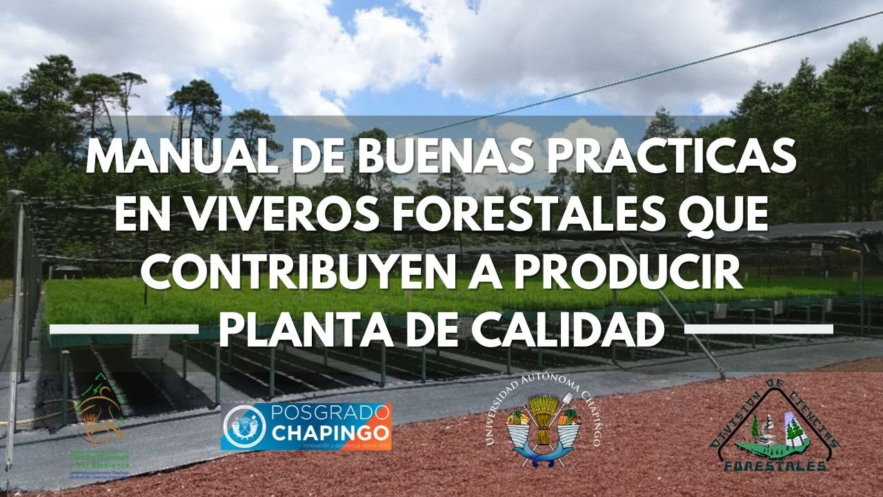 Manual de buenas prácticas en viveros forestales que contribuyen a producir planta de calidad