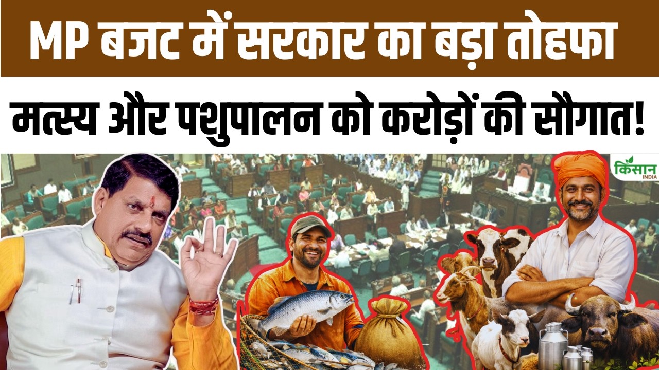 MP Budget 2026: होली से पहले मछुआरों और पशुपालकों को करोड़ों का बड़ा तोहफा | CM Mohan Yadav