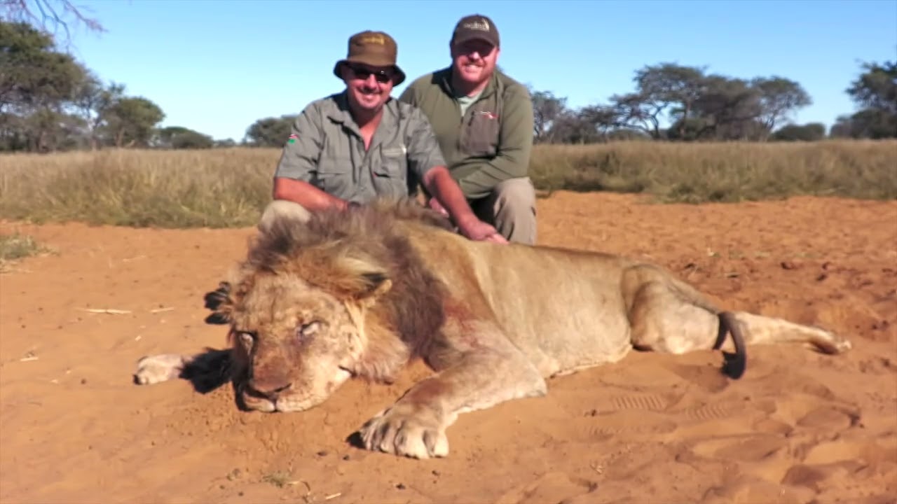 Namibia Hunting Safari Summer 2025