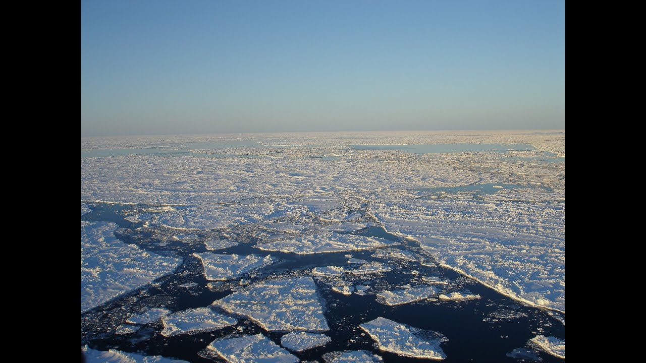 2025 Arctic Sea Ice Updates: Observations from space and communities- Sea Ice Meeting October 2025
