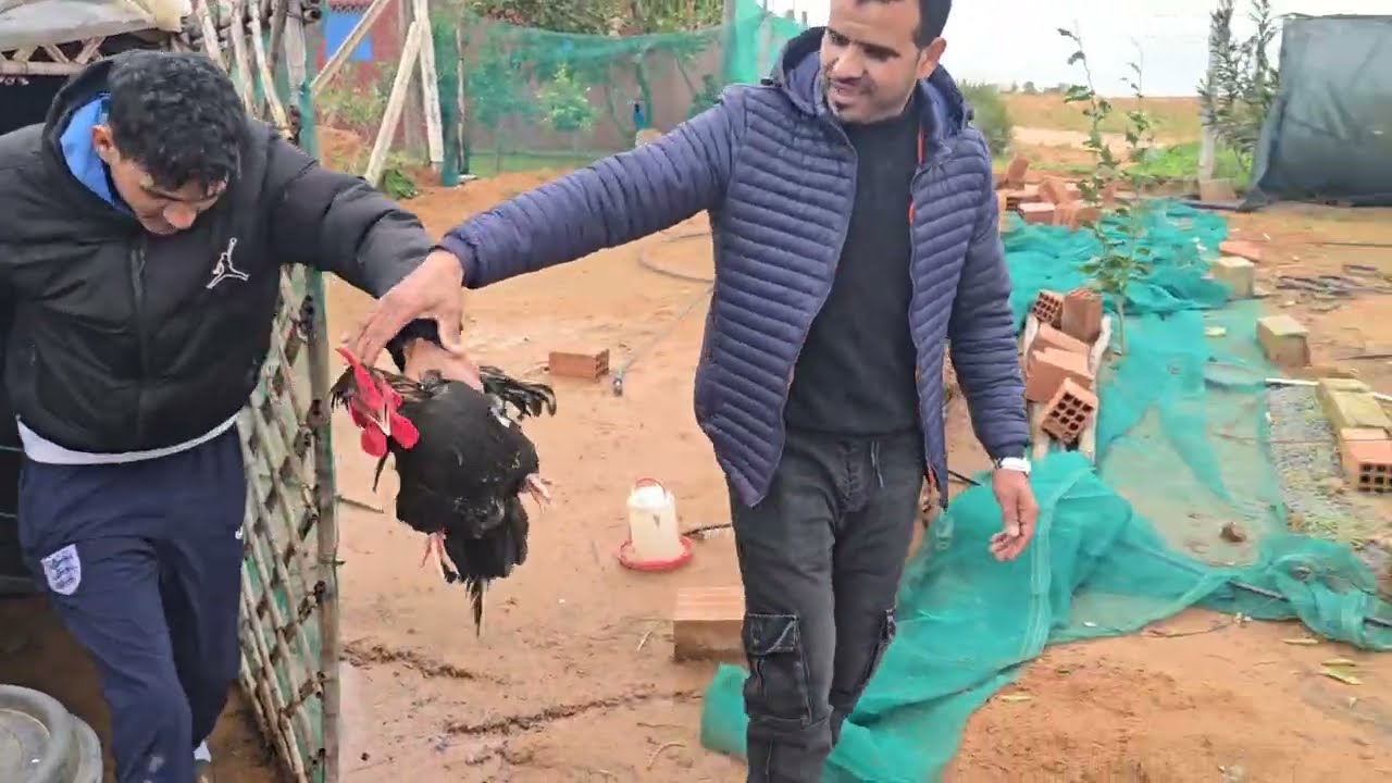 هو يجري وحنا نجريو واول خروج ل نسيبي فالقناة