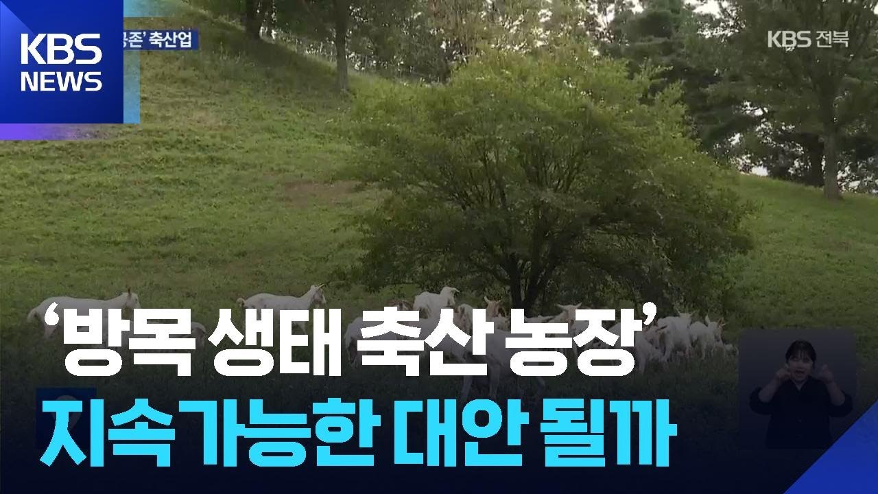 &lsquo;방목 생태 축산 농장&rsquo;&hellip;지속가능한 대안 될까? / KBS  2025.10.11.