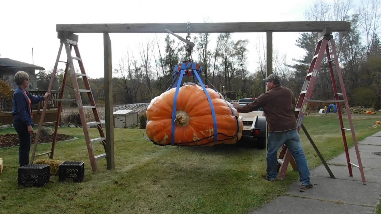 How to unload a Giant Pumpkin with a Chain fall and ladders