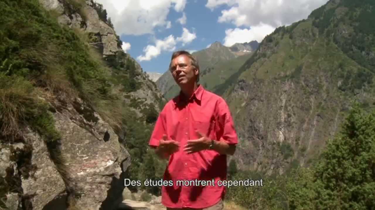 Apérçu projet 