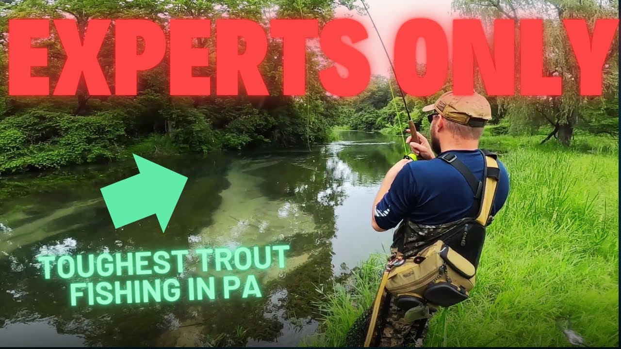 Fly Fishing the TOUGHEST Trout in PA – Letort Spring Creek Brown Trout Tactics & Museum Tour