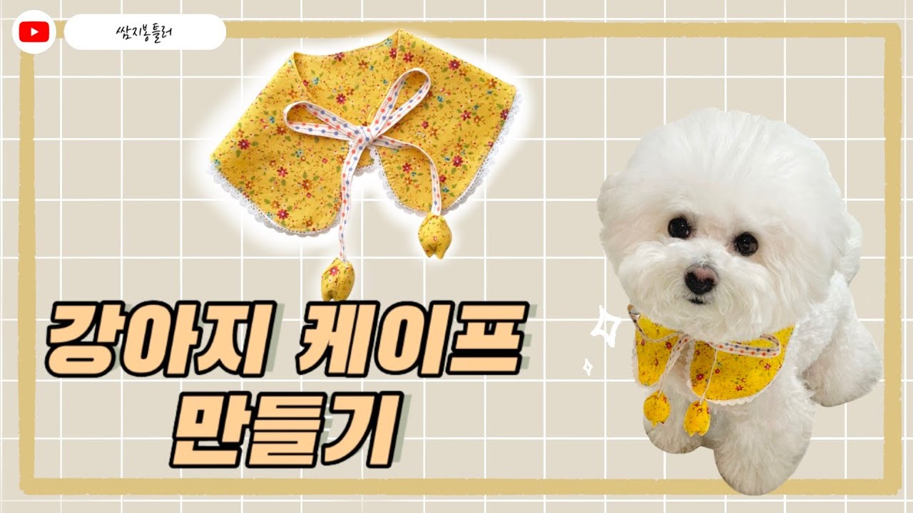 강아지케이프만들기