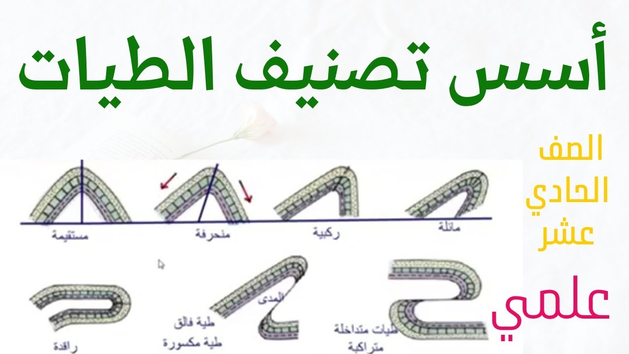 أسس تصنيف الطيات - شرح أسس تصنيف الطيات #جولوجيا #الصف_الحادي_عشر #الفصل_الثاني صف حادي عشر