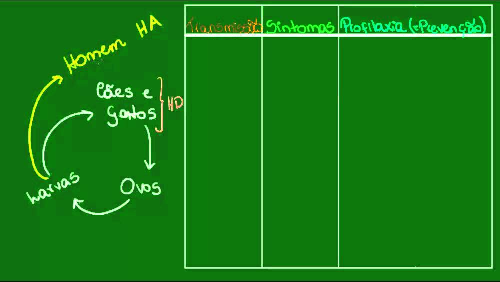 Bicho geográfico - Parasitologia - Biologia