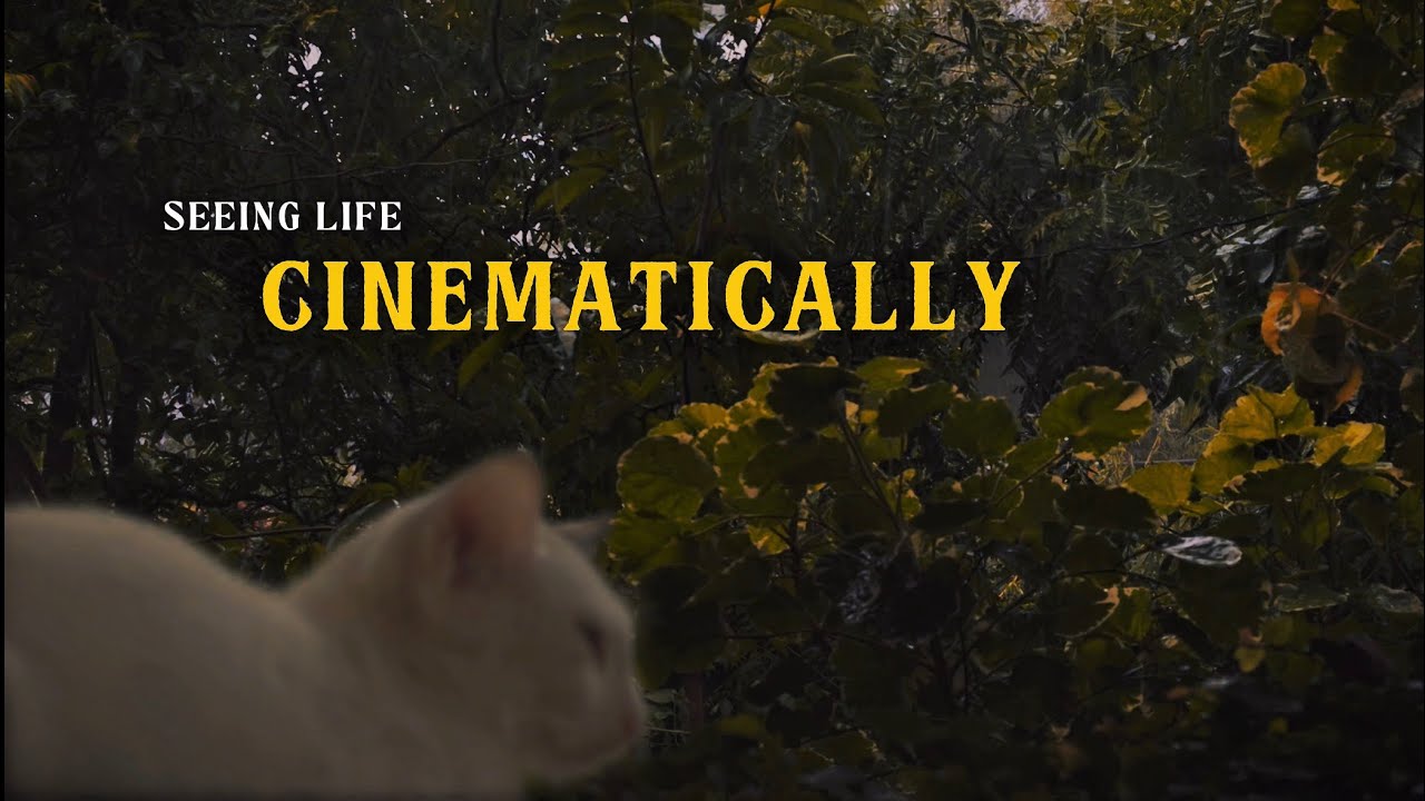 Seeing Life Cinematically | 4k Shot on Iphone 15 Pro ( ProRes Log ) 