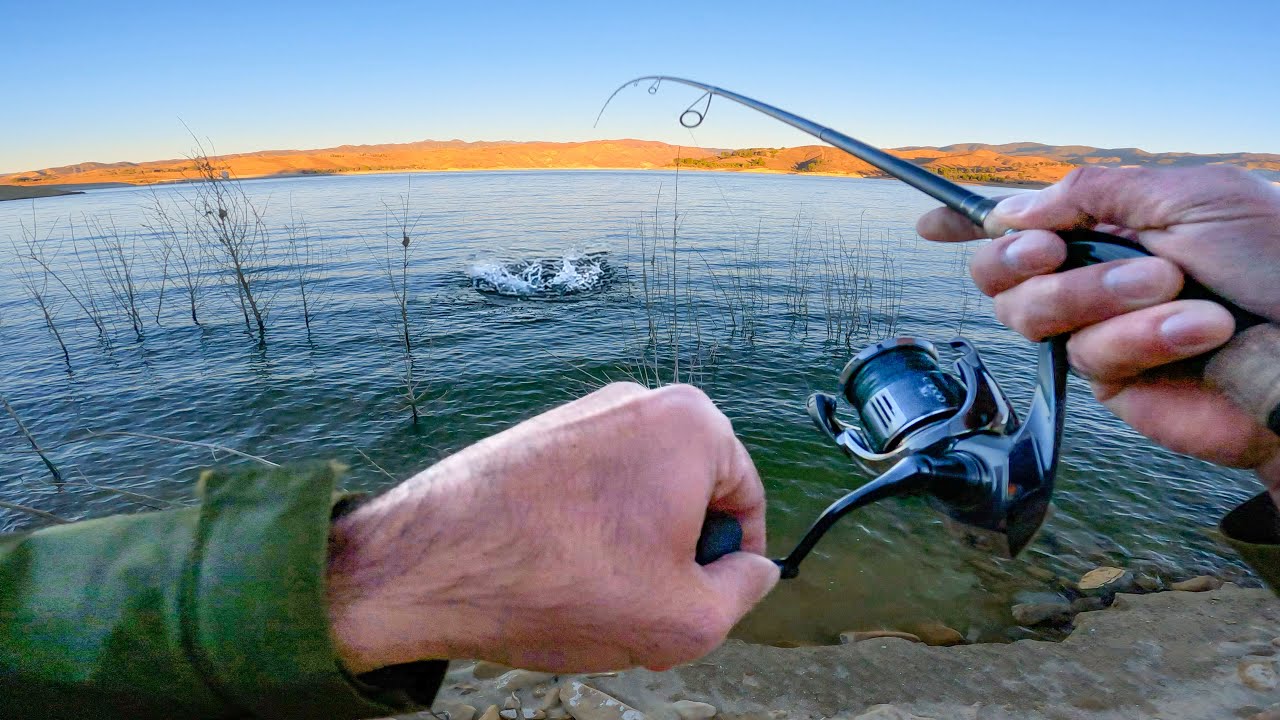 INSANE Topwater Striper Fishing from Shore at Castaic Lake !