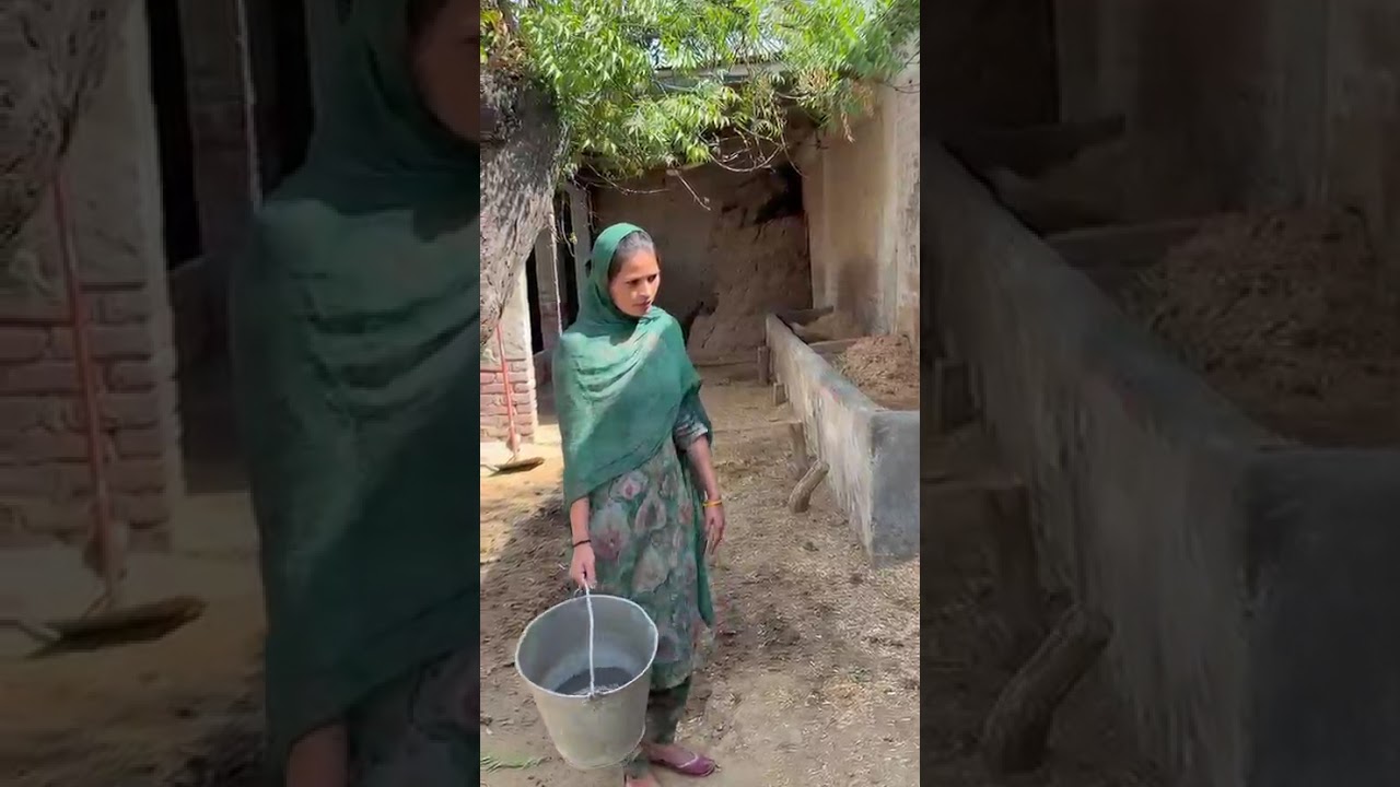 ਮੇਰੇ ਮਗਰ ਪੈ ਜਾਨੀ ਐਂ, ਦੇਖਲੈ ਨਹੀਂ ਫੇਰ ਕੋਈ ਬੰਝ ਗੱਡਦੂੰਗਾ