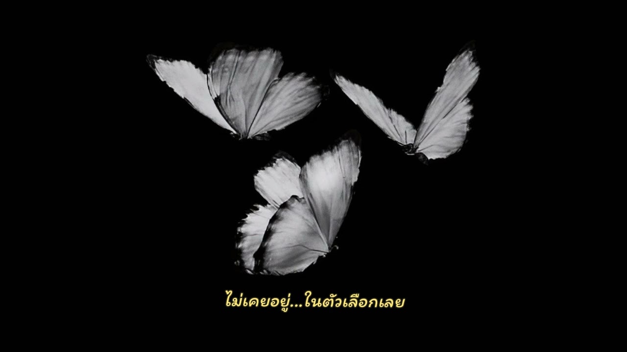 ไม่เคยอยู่​ ในตัวเลือกเลย​ -​ ZETA
