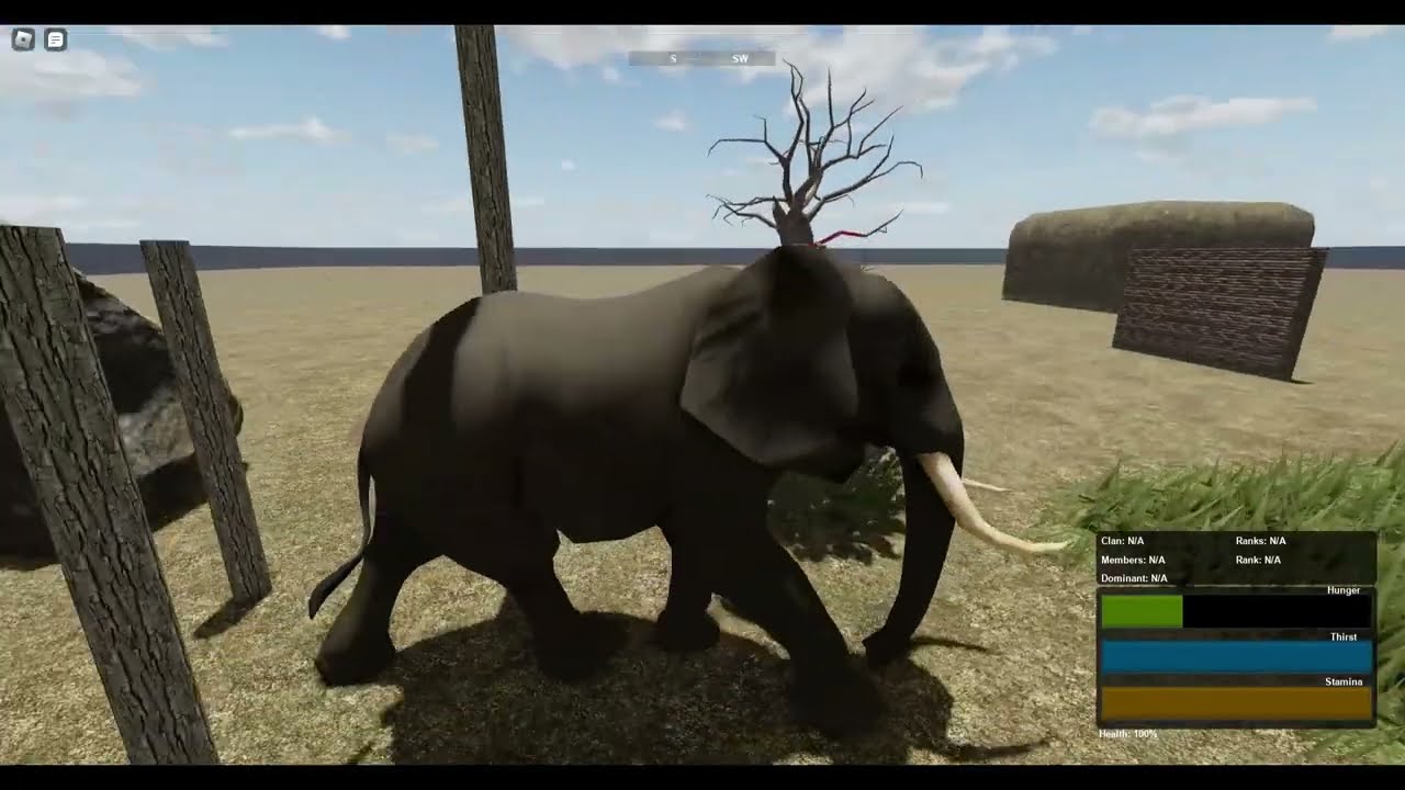 ELEPHANT ANIMATIONS! | ROBLOX: Wild Savannah Recode