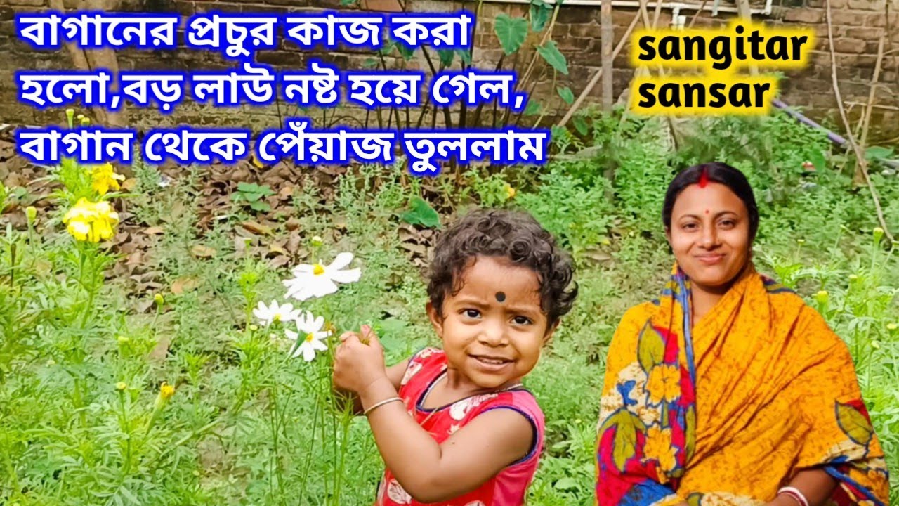 বাগানের প্রচুর কাজ করা হলো, গাছের প্রথম লাউ নষ্ট হয়ে গেল, বাগানের পেঁয়াজ তুললাম!sangitar sansar 
