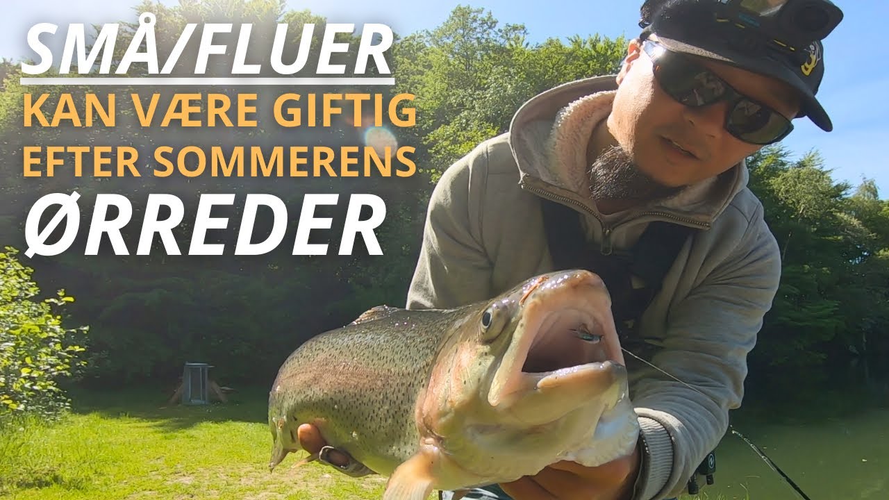 Hvordan mon tur gik!! Fluefiskeri i Revsb&aelig;k Put And Take